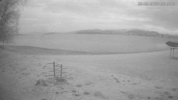 Černá v Pošumaví