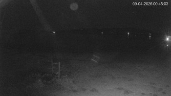 Černá v Pošumaví