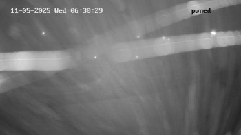 Snímek    5.11.2025 v 06:30