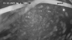 Hlavní bazén, divoká řeka