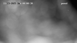 Hlavní bazén, divoká řeka