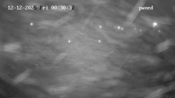 Hlavní bazén, divoká řeka