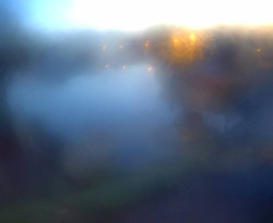 Přístaviště Petrov