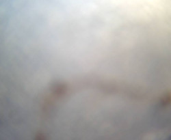 Přístaviště Petrov