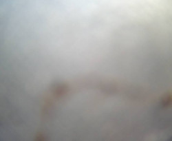 Přístaviště Petrov