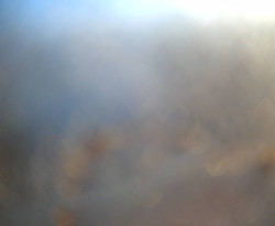 Přístaviště Petrov