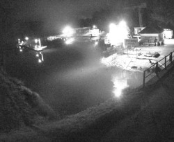 Přístaviště Petrov