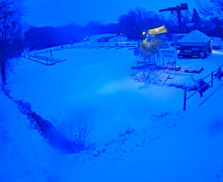 Přístaviště Petrov