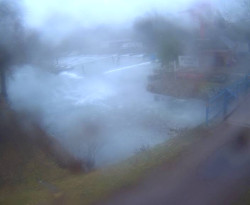 Přístaviště Petrov