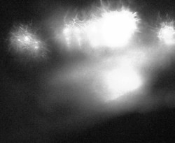 Přístaviště Petrov