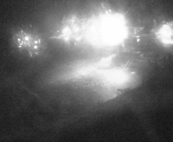 Přístaviště Petrov