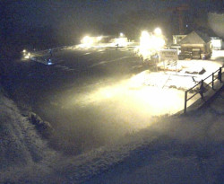 Přístaviště Petrov