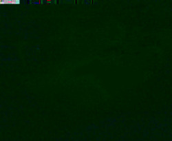 Přístaviště Petrov