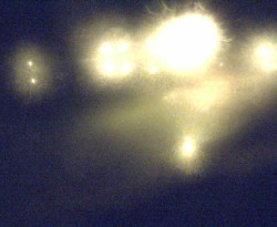 Přístaviště Petrov