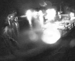 Přístaviště Petrov