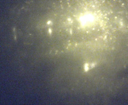 Přístaviště Petrov