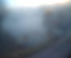 Přístaviště Petrov