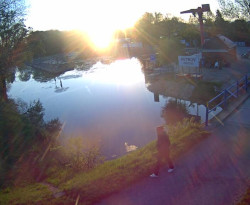 Přístaviště Petrov