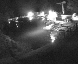 Přístaviště Petrov