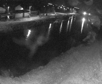 Snímek    24.10.2025 v 04:30