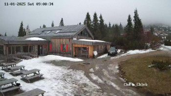 Snímek    1.11.2025 v 10:01