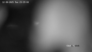 Chata pod Chlebom - Chata pod Chlebom - 31.12.2025 v 00:01