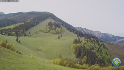 Poludňový grúň