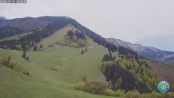 Poludňový grúň