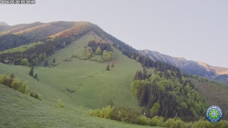 Poludňový grúň