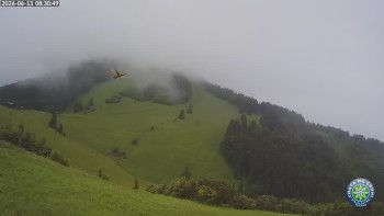 Chata na Grúni