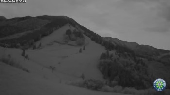 Mittagsgrün