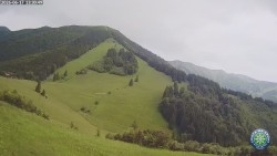 Mittagsgrün