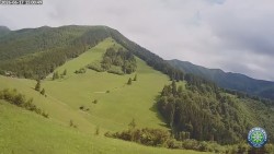 Mittagsgrün