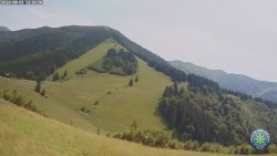 Mittagsgrün