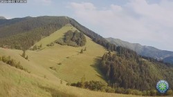 Mittagsgrün