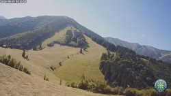 Południowa zieleń