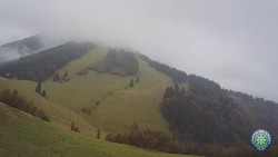 Południowa zieleń