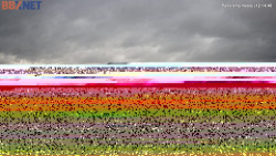 Pohled od Sásové-Rudlové