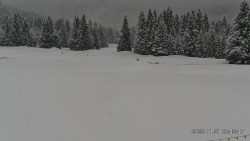 Sjezdovky, Golfové hřiště