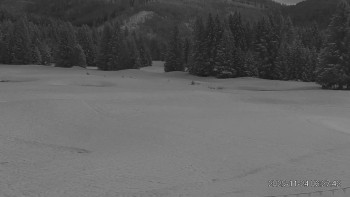 Snímek    24.11.2025 v 07:00