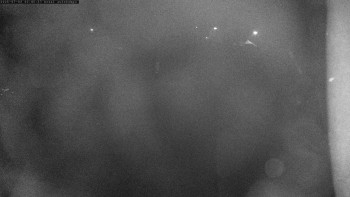 Snímek    3.7.2025 v 03:00
