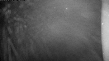 Autokempink Strážnice