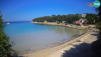 Snímek    15.5.2025 v 09:45