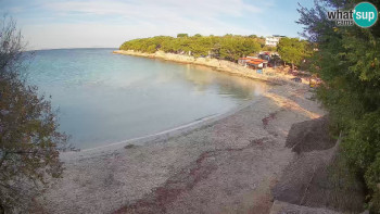 Snímek    20.10.2025 v 08:45