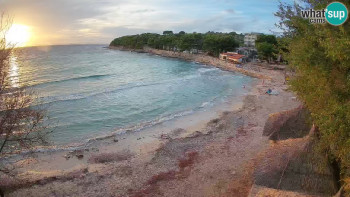 Snímek    30.10.2025 v 16:30