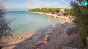 Snímek    31.10.2025 v 09:00