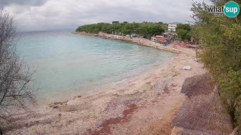 Snímek    2.11.2025 v 13:15