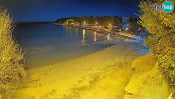 Snímek    5.11.2025 v 21:45