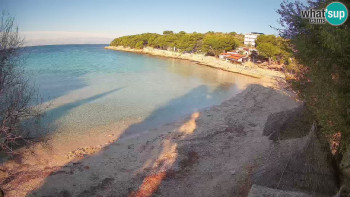 Snímek 7.11.2025 v 08:45