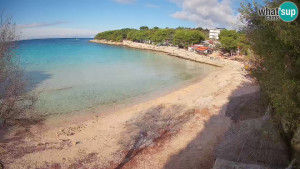 Murter - Pláž Slanica - 7.11.2025 v 09:45 Murter - Pláž Slanica - 7.11.2025 v 09:45